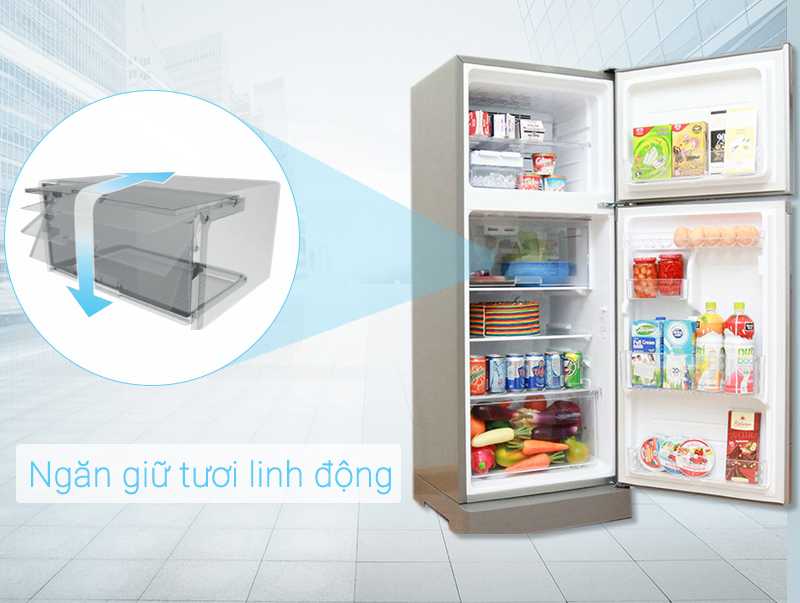 Tủ lạnh 2 cánh LG L205S được trang bị hệ thống khí lạnh đa chiều giúp luôn thông thoáng)