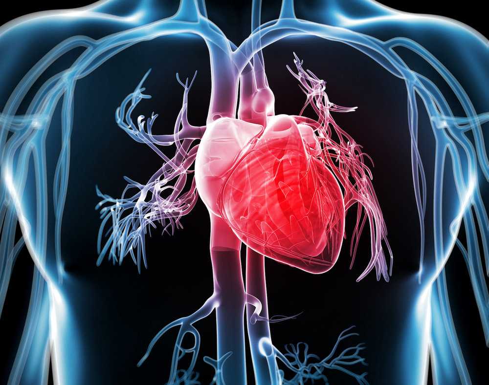 Các biến chứng về tim mạch dẫn đến tỷ lệ tử vong cao