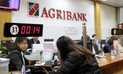 Điều kiện và thủ tục vay trả góp ngân hàng Agribank 2023