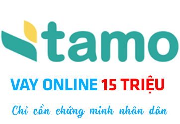 TAMO – Giải pháp tài chính Online