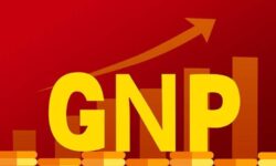 GNP là gì? Cách tính chi tiết của GNP và GDP?