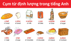 Những điều cần biết về cụm từ định lượng trong tiếng Anh