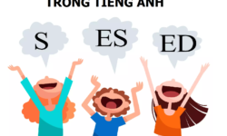 Cách phát âm đuôi ED, S và ES chuẩn nhất trong tiếng Anh