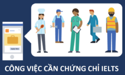 Những công việc cần chứng chỉ IELTS phổ biến nhất hiện này