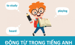 Định nghĩa và phân loại động từ trong tiếng Anh