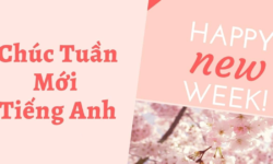 Tổng hợp 100+ lời chúc đầu tuần bằng tiếng Anh