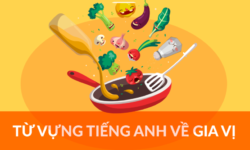 100+ Từ vựng về gia vị trong tiếng Anh độc đáo nhất